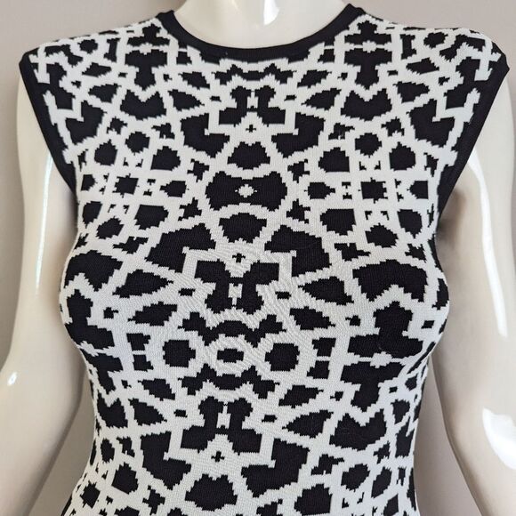 Torn by Ronny Kobo Bodycon Dress – XS – Geometric Knit – Zip Back - Picture 8 of 9
